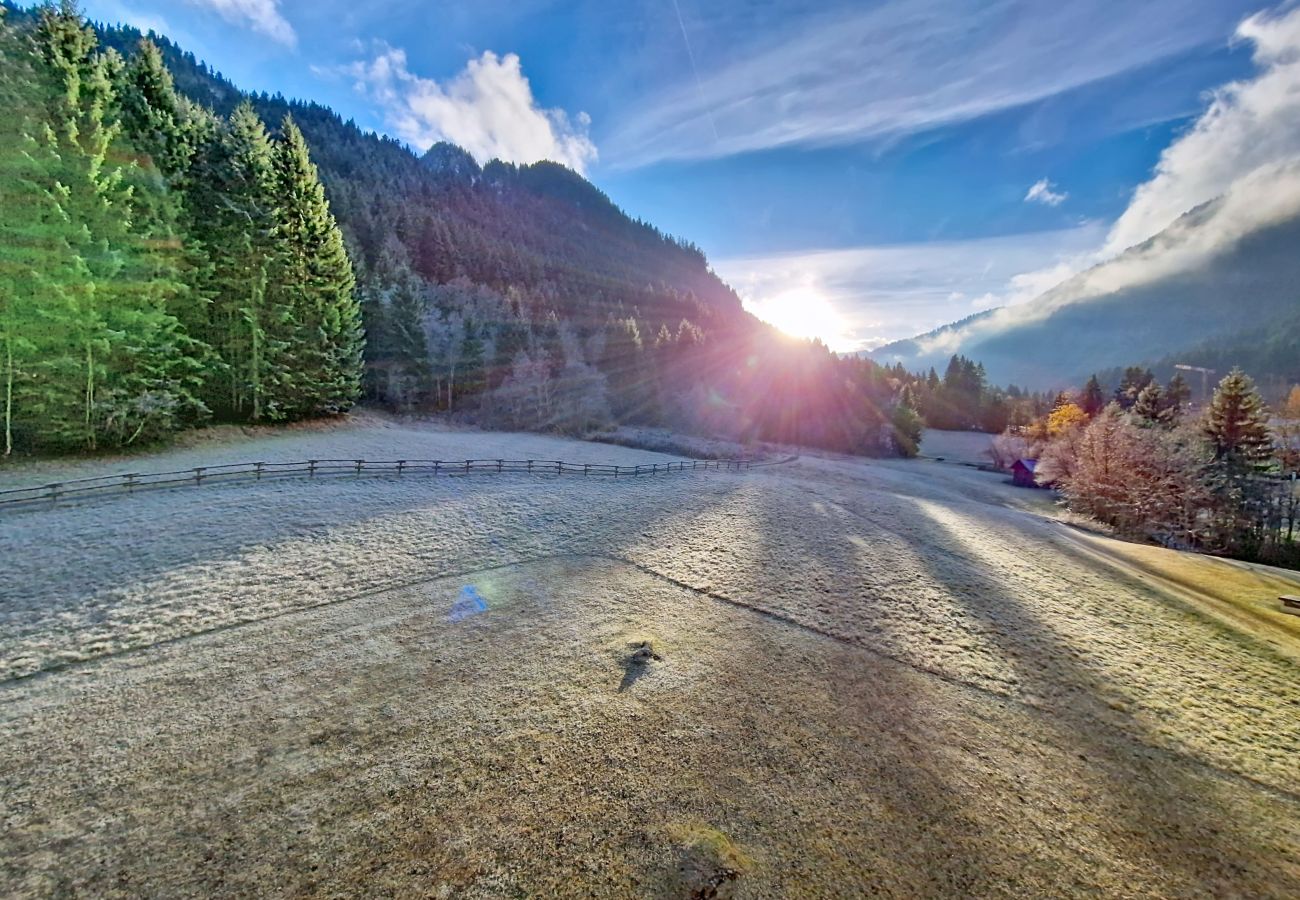 Ferienwohnung in Châtel - Myrtilles MR27 SKI & NATURE 6 pers.