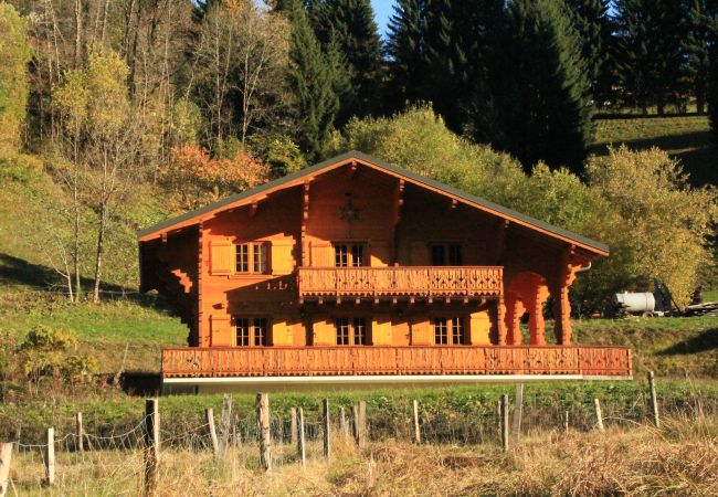 Chalet in Châtel - Chalet Saint Eloy CSE COSY & NATURE 14 Pers. Chalet in Châtel - Chalet Saint Eloy CSE COSY & NATURE 14 Pers.