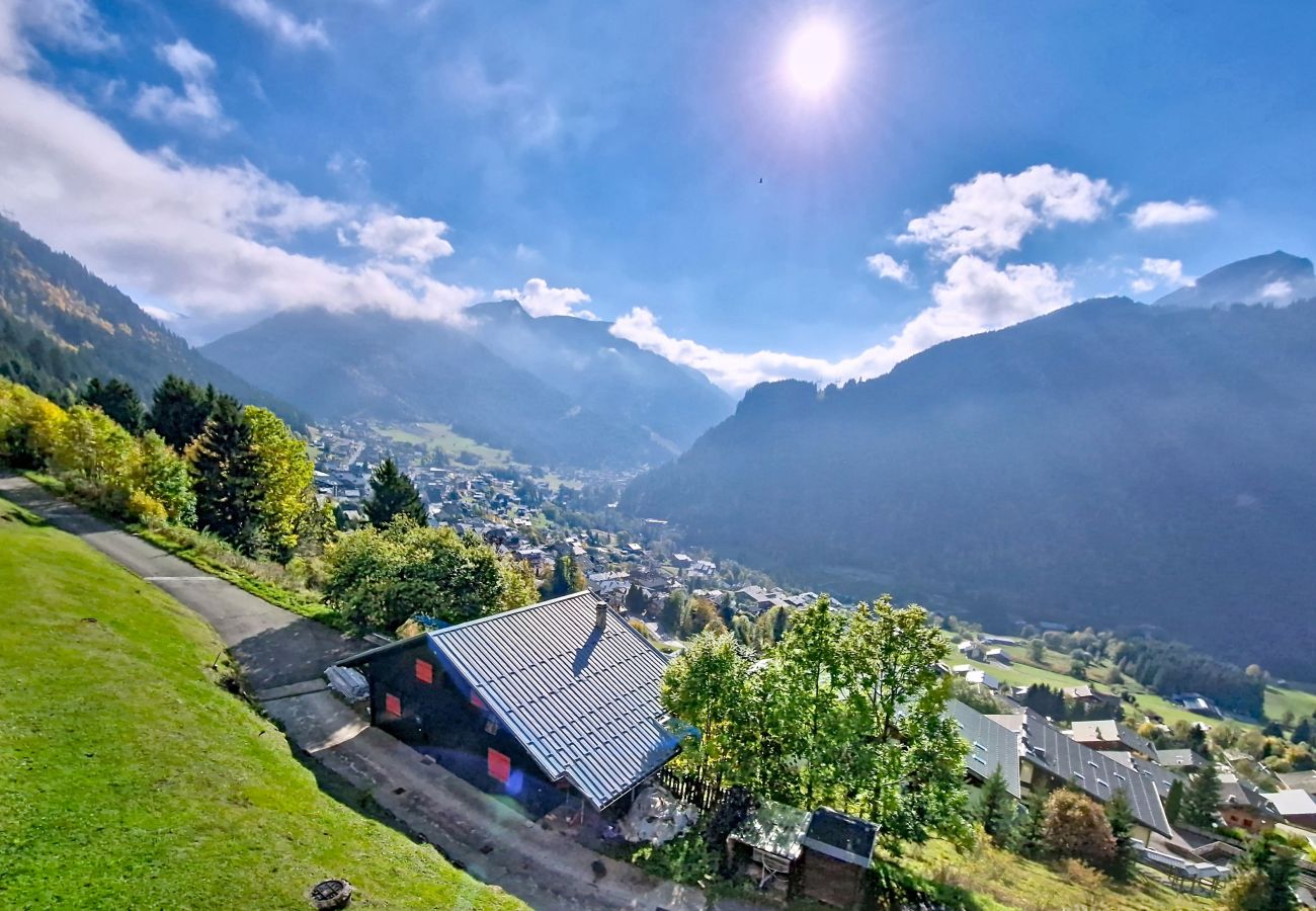Studio in Châtel - ALPAGE AGA13 VIEW & MOUNTAIN 3 Pers.