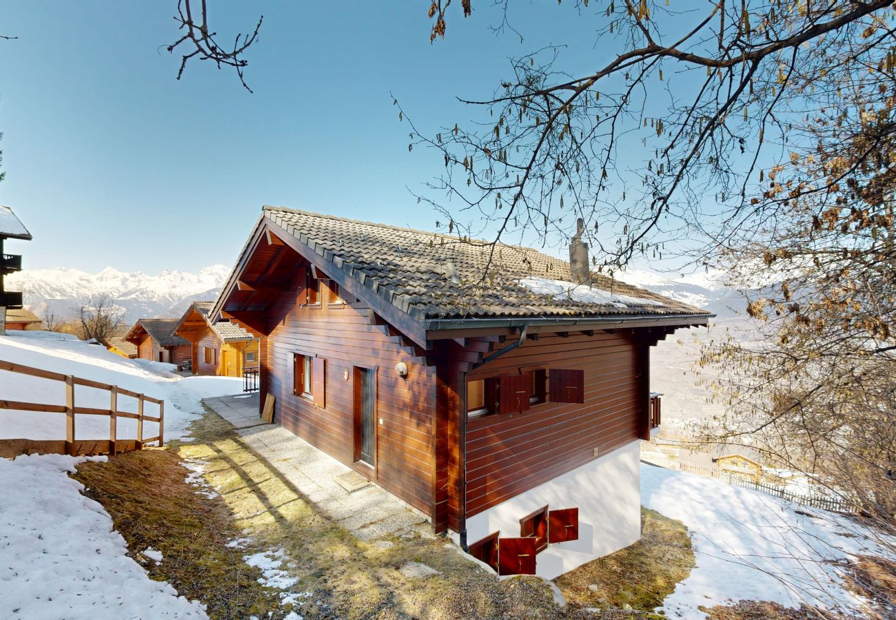 Chalet in Salins - Fontannets 002 COSY & MOUNTAIN chalet 10 pers