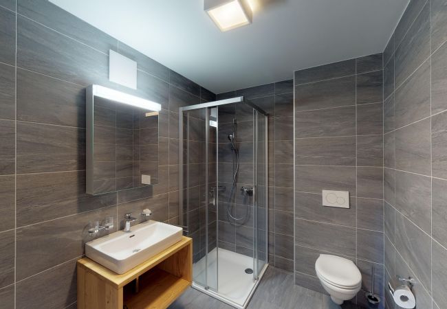 Appartement in Veysonnaz - Les Mayens MB 010 - LUXURY apartment 8 pers Appartement in Veysonnaz - Les Mayens MB 010 - LUXURY apartment 8 pers