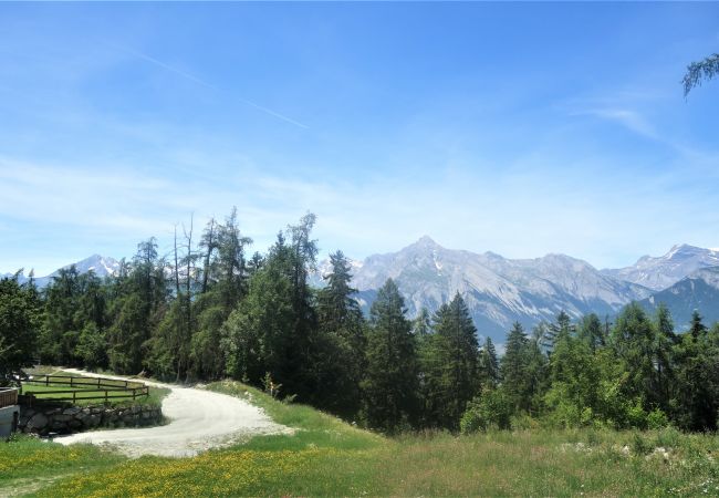 Appartement in Veysonnaz - Les Mayens MB 010 - LUXURY apartment 8 pers Appartement in Veysonnaz - Les Mayens MB 010 - LUXURY apartment 8 pers