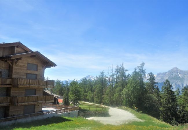 Appartement in Veysonnaz - Les Mayens MB 010 - LUXURY apartment 8 pers Appartement in Veysonnaz - Les Mayens MB 010 - LUXURY apartment 8 pers