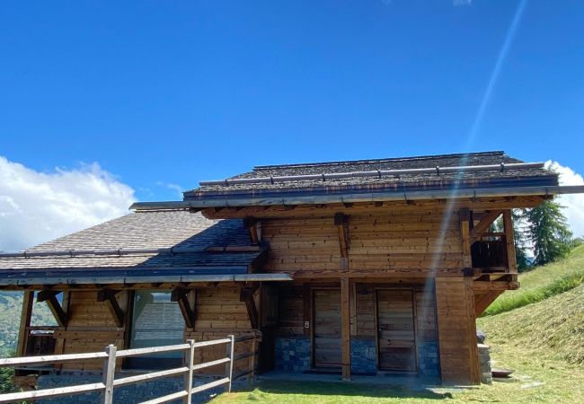 Chalet in Les Masses - Be Cool SAUNA & LUXURY chalet 10 pers Chalet in Les Masses - Be Cool SAUNA & LUXURY chalet 10 pers