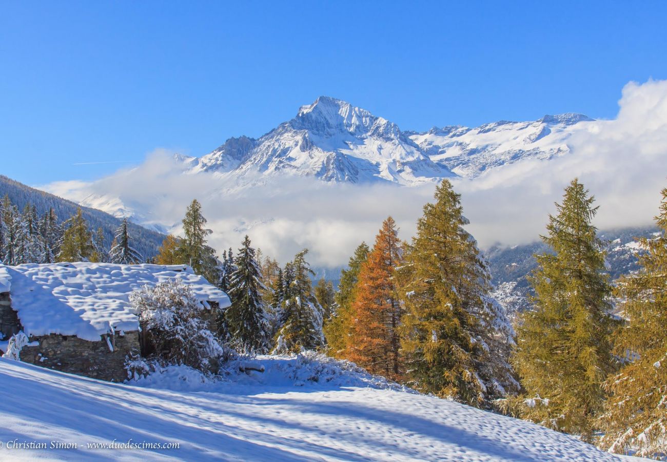 Appartement in Termignon - Balcons G 047 - PARC NAT. VANOISE appart. 6 pers.