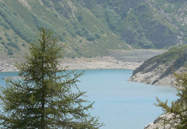 Studio in Orelle - Hameau 8 205 - SPA & PISCINE studio 4 pers. Studio in Orelle - Hameau 8 205 - SPA & PISCINE studio 4 pers.