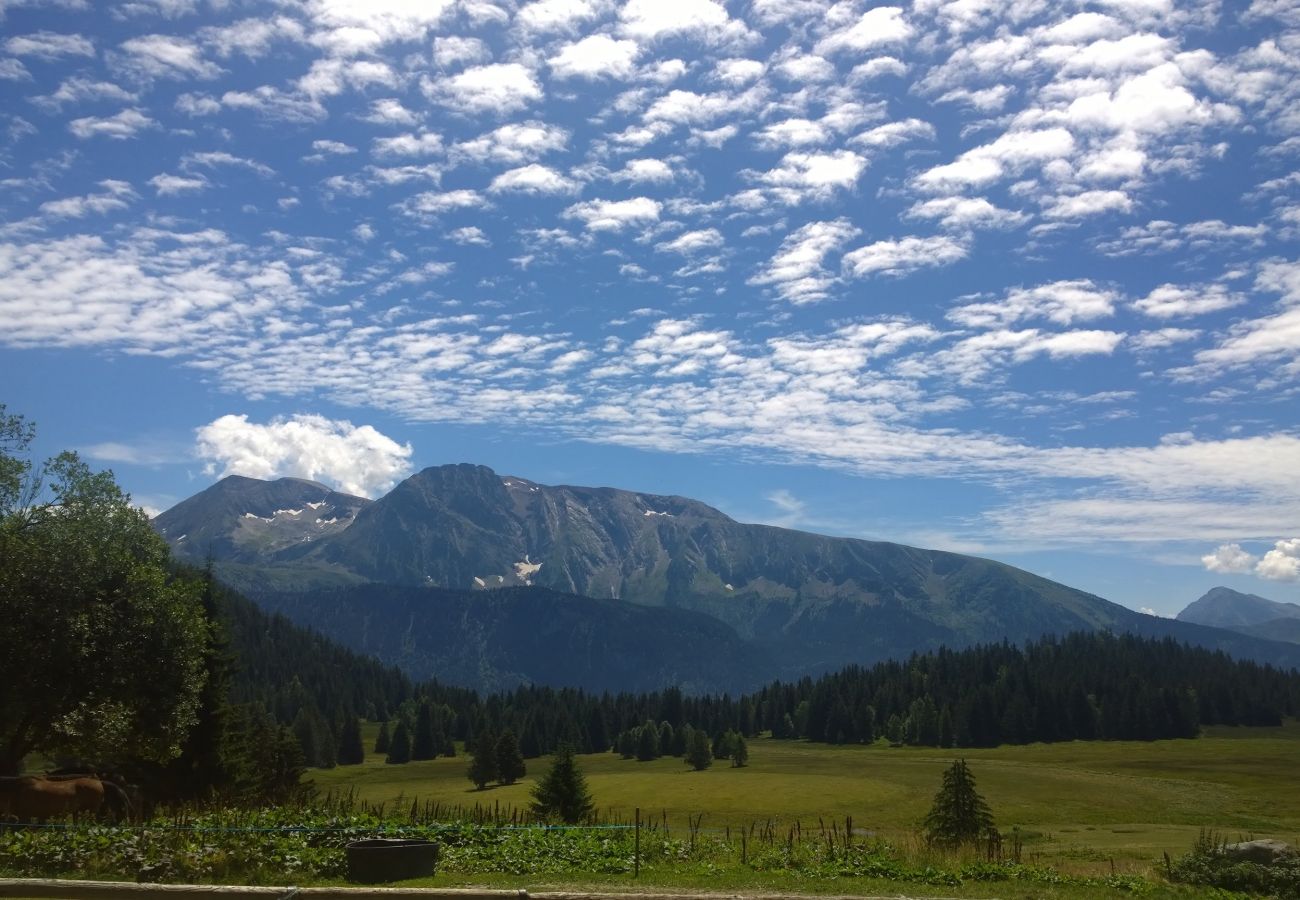 Studio in Chamrousse - Vercors 2 043-FAMILLE & MONTAGNE studio 4 pers