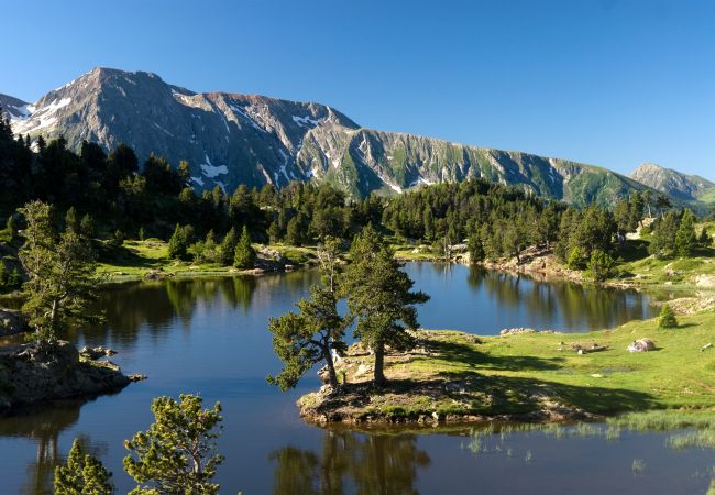 Studio in Chamrousse - Vercors 2 052-FAMILLE & MONTAGNE studio 4 pers Studio in Chamrousse - Vercors 2 052-FAMILLE & MONTAGNE studio 4 pers