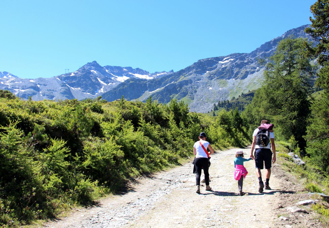 Chalet in Haute-Nendaz - Ann - SUNNY & LUXE chalet 8 pers