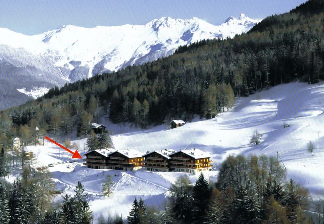 Appartement in Les Agettes - Mayens de l'Ours AZ 013 - MOUNTAIN apartment 8 p Appartement in Les Agettes - Mayens de l'Ours AZ 013 - MOUNTAIN apartment 8 p