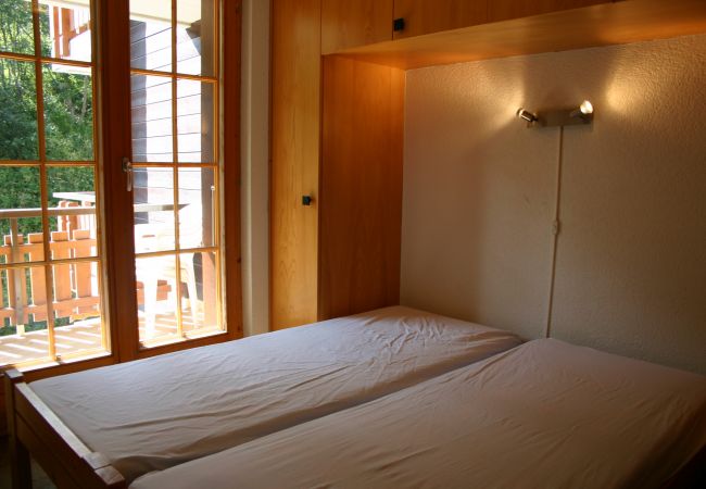 Appartement in Les Agettes - Mayens de l'Ours AZ 013 - MOUNTAIN apartment 8 p Appartement in Les Agettes - Mayens de l'Ours AZ 013 - MOUNTAIN apartment 8 p