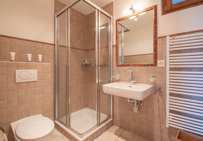 Chalet in Veysonnaz - Hirondelle JACUZZI & LUXURY chalet 12 pers Chalet in Veysonnaz - Hirondelle JACUZZI & LUXURY chalet 12 pers