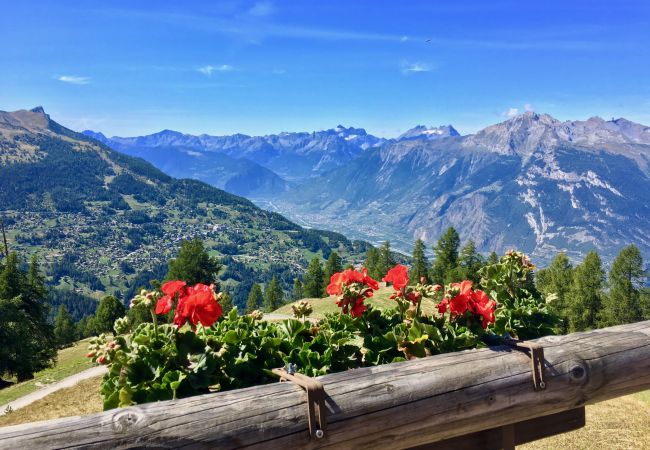 Appartement in Haute-Nendaz - Des Alpes (001) - ON THE SLOPES apartment 6 pers Appartement in Haute-Nendaz - Des Alpes (001) - ON THE SLOPES apartment 6 pers