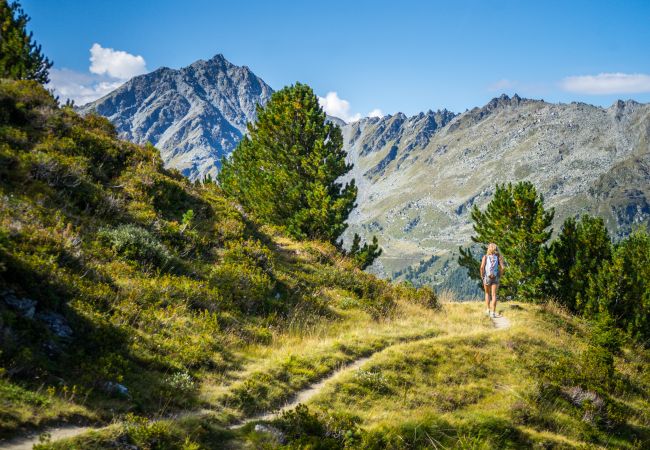 Appartement in Haute-Nendaz - Des Alpes (003) - ON THE SLOPES apartment 10 pers Appartement in Haute-Nendaz - Des Alpes (003) - ON THE SLOPES apartment 10 pers