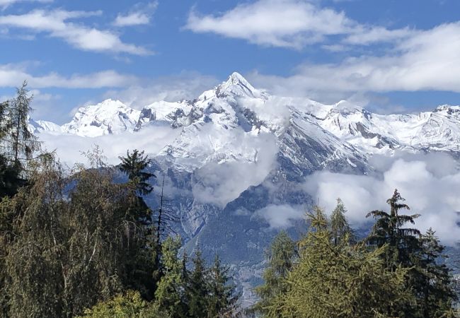 Appartement in Les Agettes - Mayens de l'Ours CZ 013 - MOUNTAIN apartment 8 per Appartement in Les Agettes - Mayens de l'Ours CZ 013 - MOUNTAIN apartment 8 per