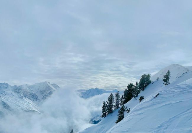 Appartement in Les Agettes - Mayens de l'Ours CZ 030 - MOUNTAIN apartment 6 per Appartement in Les Agettes - Mayens de l'Ours CZ 030 - MOUNTAIN apartment 6 per