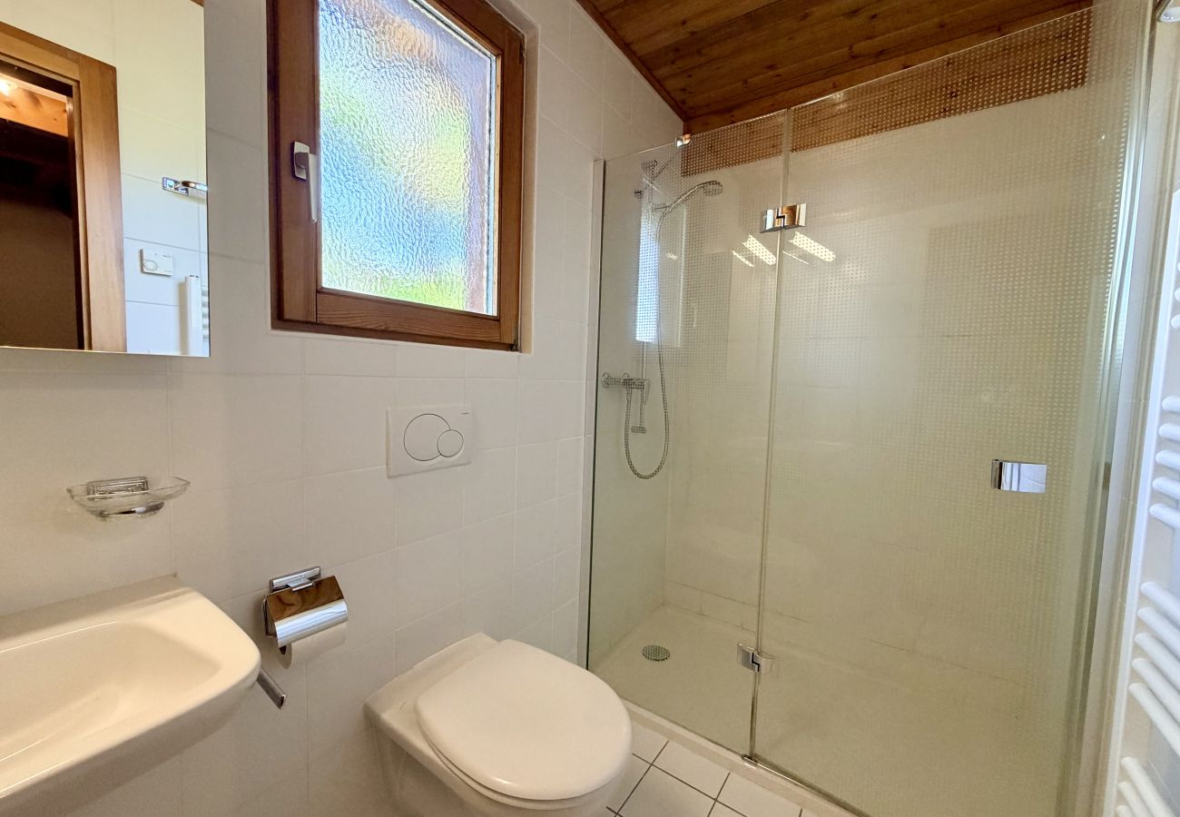 Chalet in Veysonnaz - Eanta SUNNY & MOUNTAIN chalet 10 pers
