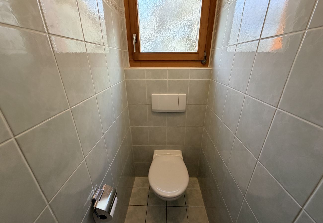 Chalet in Salins - Fontannets 001 COSY & MOUNTAIN chalet 10 pers