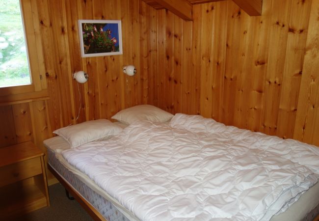 Chalet in Salins - Fontannets 003 QUIET & SUPERIOR chalet 10 pers Chalet in Salins - Fontannets 003 QUIET & SUPERIOR chalet 10 pers