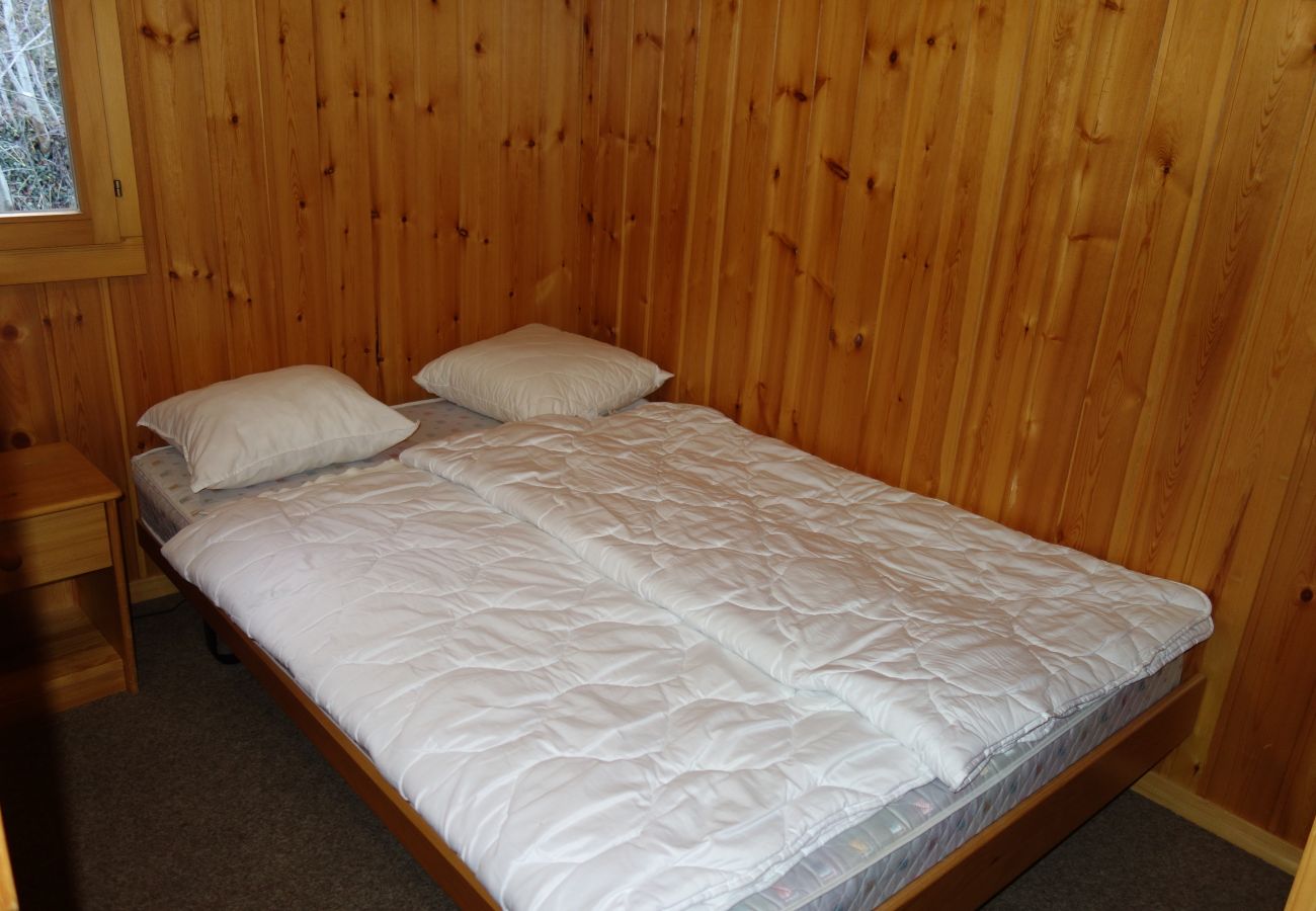 Chalet in Salins - Fontannets 005 COSY & MOUNTAIN chalet 10 pers