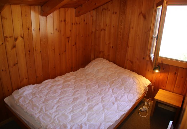 Chalet in Salins - Fontannets 006 QUIET & SUPERIOR chalet 10 pers Chalet in Salins - Fontannets 006 QUIET & SUPERIOR chalet 10 pers