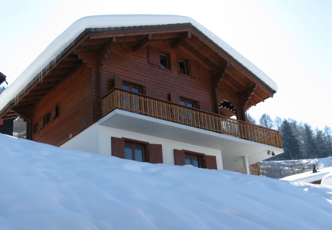 Chalet in Salins - Fontannets 009 QUIET & SUPERIOR chalet 8 pers Chalet in Salins - Fontannets 009 QUIET & SUPERIOR chalet 8 pers