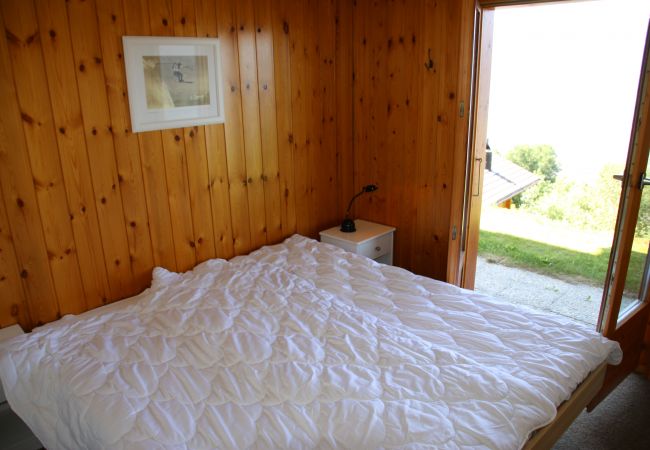 Chalet in Salins - Fontannets 009 QUIET & SUPERIOR chalet 8 pers Chalet in Salins - Fontannets 009 QUIET & SUPERIOR chalet 8 pers