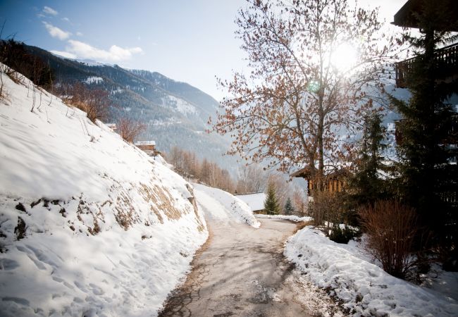 Chalet in Salins - Fontannets 009 QUIET & SUPERIOR chalet 8 pers Chalet in Salins - Fontannets 009 QUIET & SUPERIOR chalet 8 pers