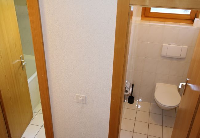 Chalet in Salins - Fontannets 009 QUIET & SUPERIOR chalet 8 pers Chalet in Salins - Fontannets 009 QUIET & SUPERIOR chalet 8 pers