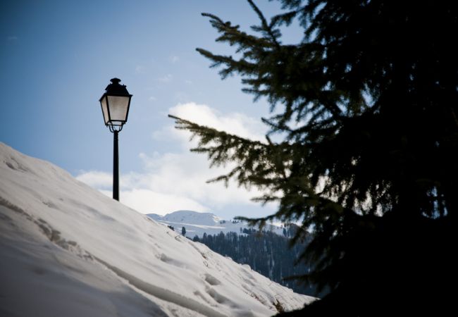 Chalet in Salins - Fontannets 009 QUIET & SUPERIOR chalet 8 pers Chalet in Salins - Fontannets 009 QUIET & SUPERIOR chalet 8 pers