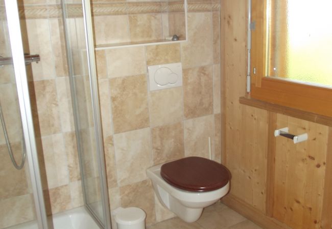 Chalet in Veysonnaz - Tschoueilles 013 MOUNTAIN & VIEW - chalet 12 pers Chalet in Veysonnaz - Tschoueilles 013 MOUNTAIN & VIEW - chalet 12 pers