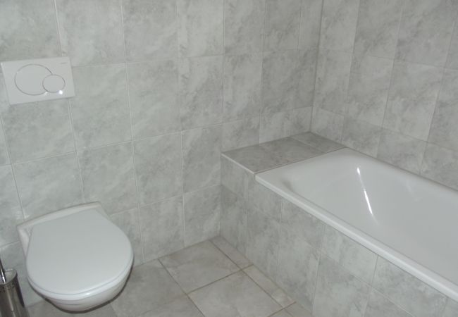 Chalet in Veysonnaz - Tschoueilles 013 MOUNTAIN & VIEW - chalet 12 pers Chalet in Veysonnaz - Tschoueilles 013 MOUNTAIN & VIEW - chalet 12 pers