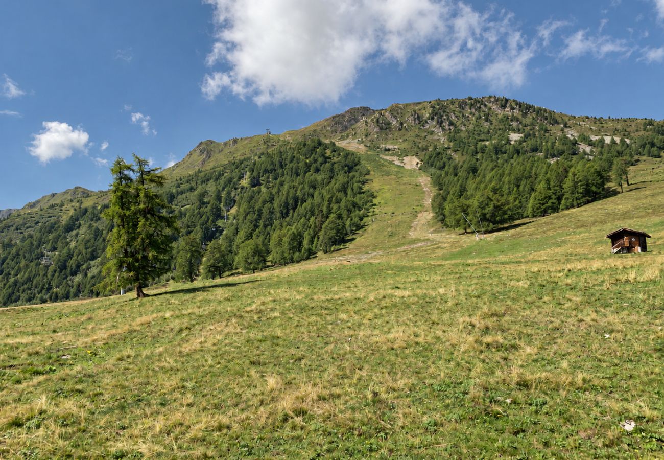 Chalet in Thyon-Les Collons - Narnia SKI IN & SKI OUT chalet 14 pers