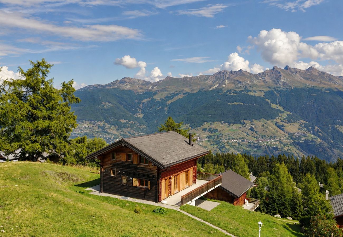 Chalet in Thyon-Les Collons - Narnia SKI IN & SKI OUT chalet 14 pers