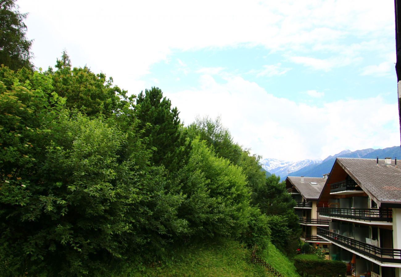 Appartement in Veysonnaz - Diablerets D 048 - MOUNTAIN apartment 4 pers