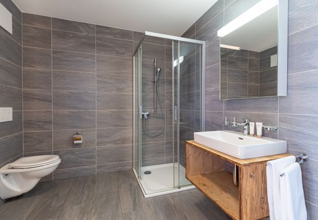 Appartement in Veysonnaz - Les Mayens MB 021 -  LUXURY apartment 18 pers Appartement in Veysonnaz - Les Mayens MB 021 -  LUXURY apartment 18 pers