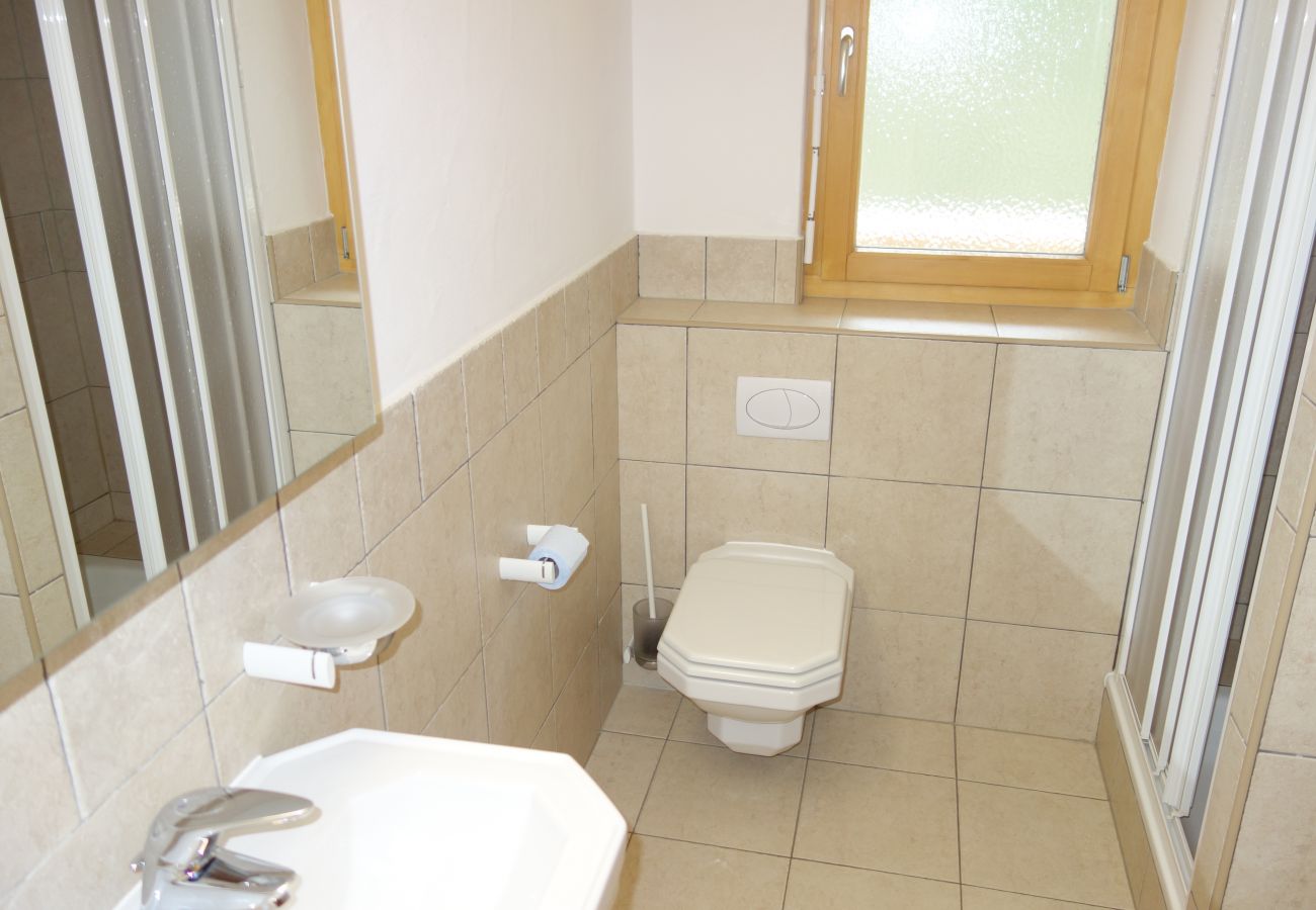 Appartement in Veysonnaz - Plein Ciel VB 030 - MOUNTAIN apartment 8 pers