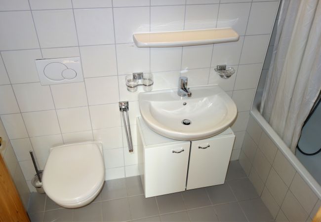 Appartement in Haute-Nendaz - Pracondu 1 002 - OUTDOOR & FUN  charming apartment Appartement in Haute-Nendaz - Pracondu 1 002 - OUTDOOR & FUN  charming apartment