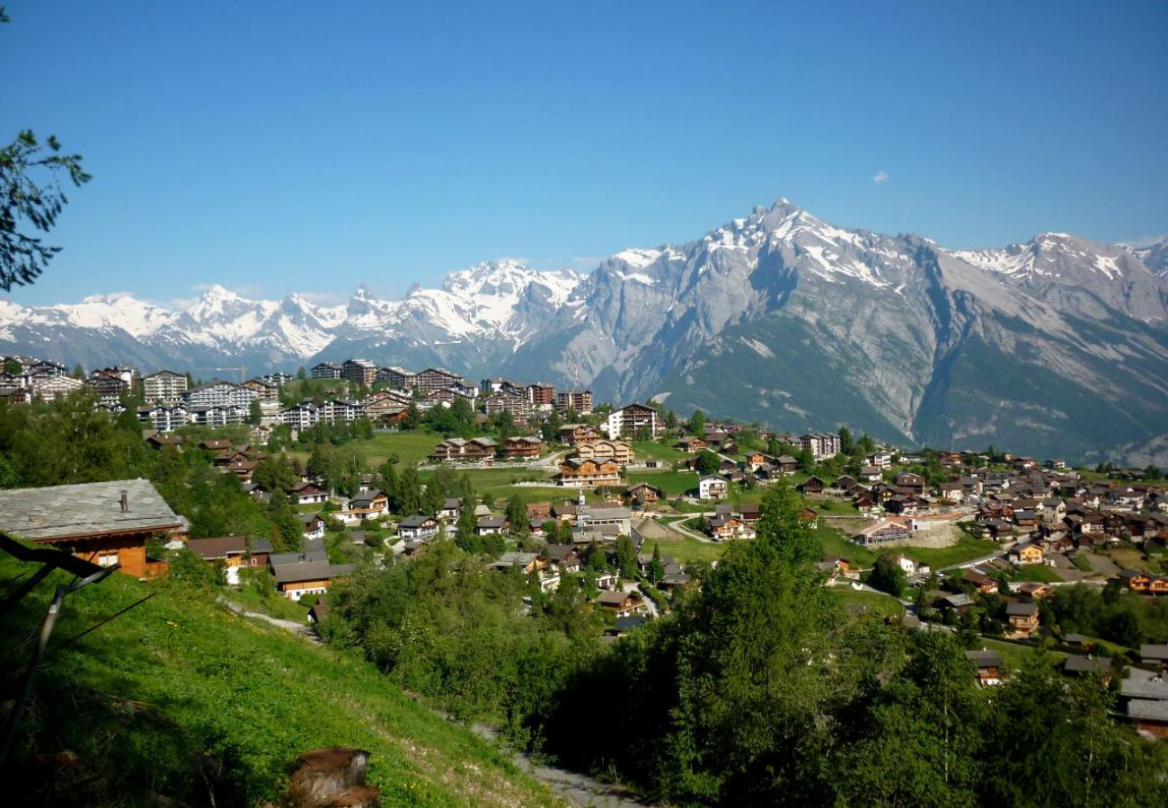 Appartement in Haute-Nendaz - Pracondu 1 504 - OUTDOOR & FUN  apartment 8 pers