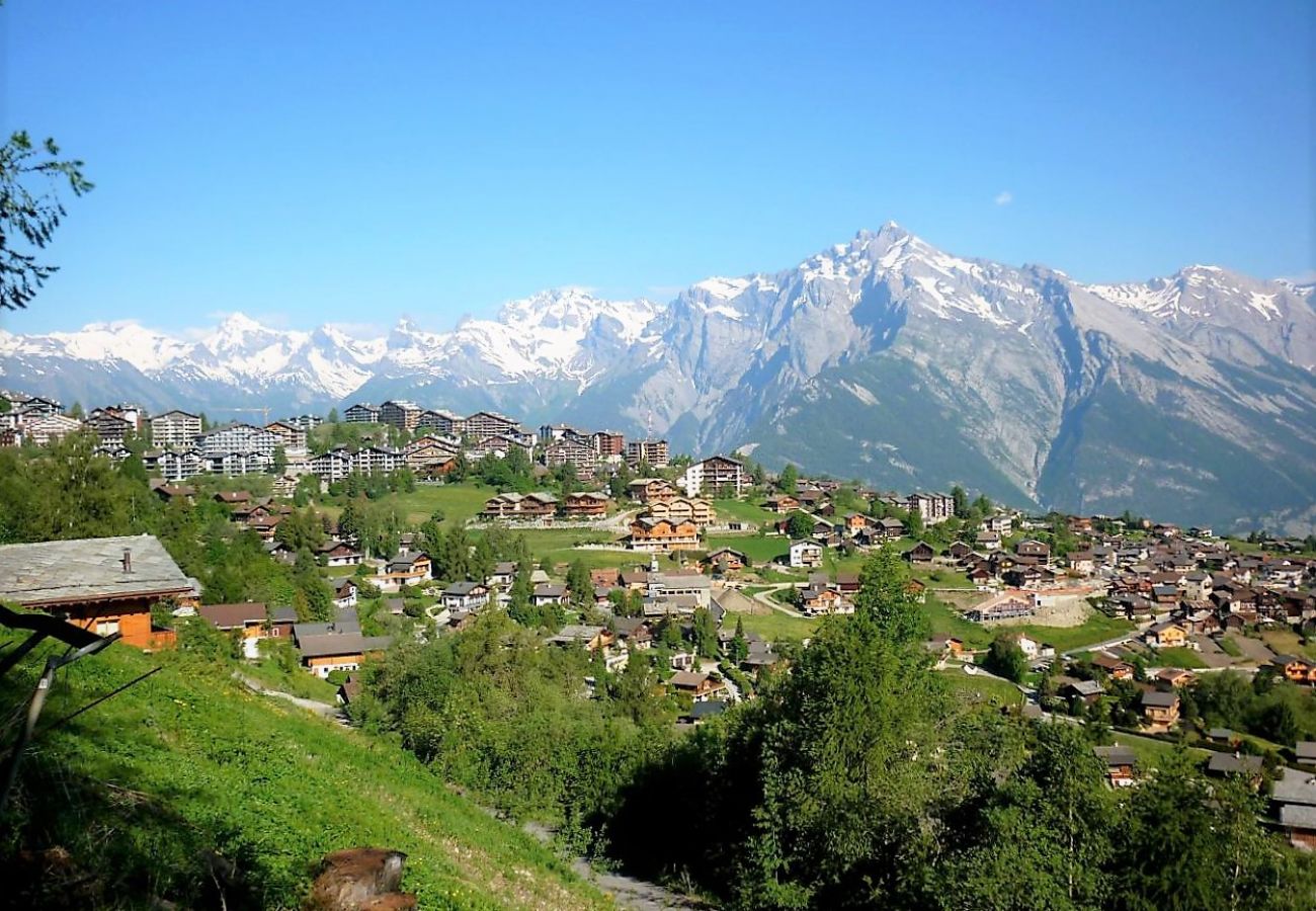 Appartement in Haute-Nendaz - Pracondu 1 306 - OUTDOOR & FUN  charming apartment