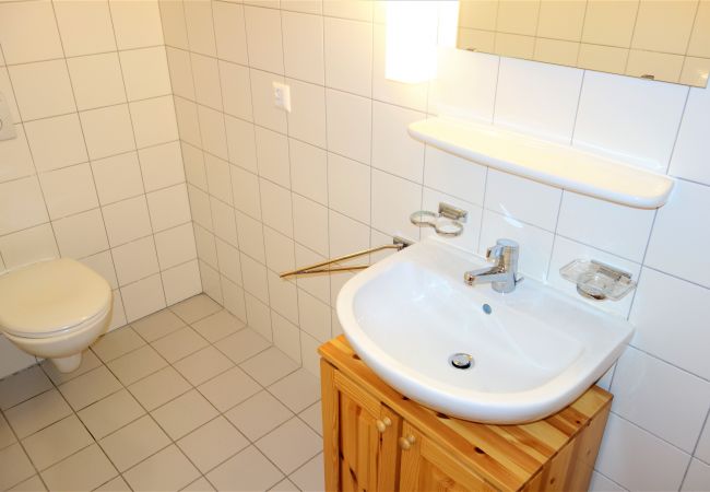 Appartement in Haute-Nendaz - Pracondu 2 202 - OUTDOOR & FUN  charming apartment