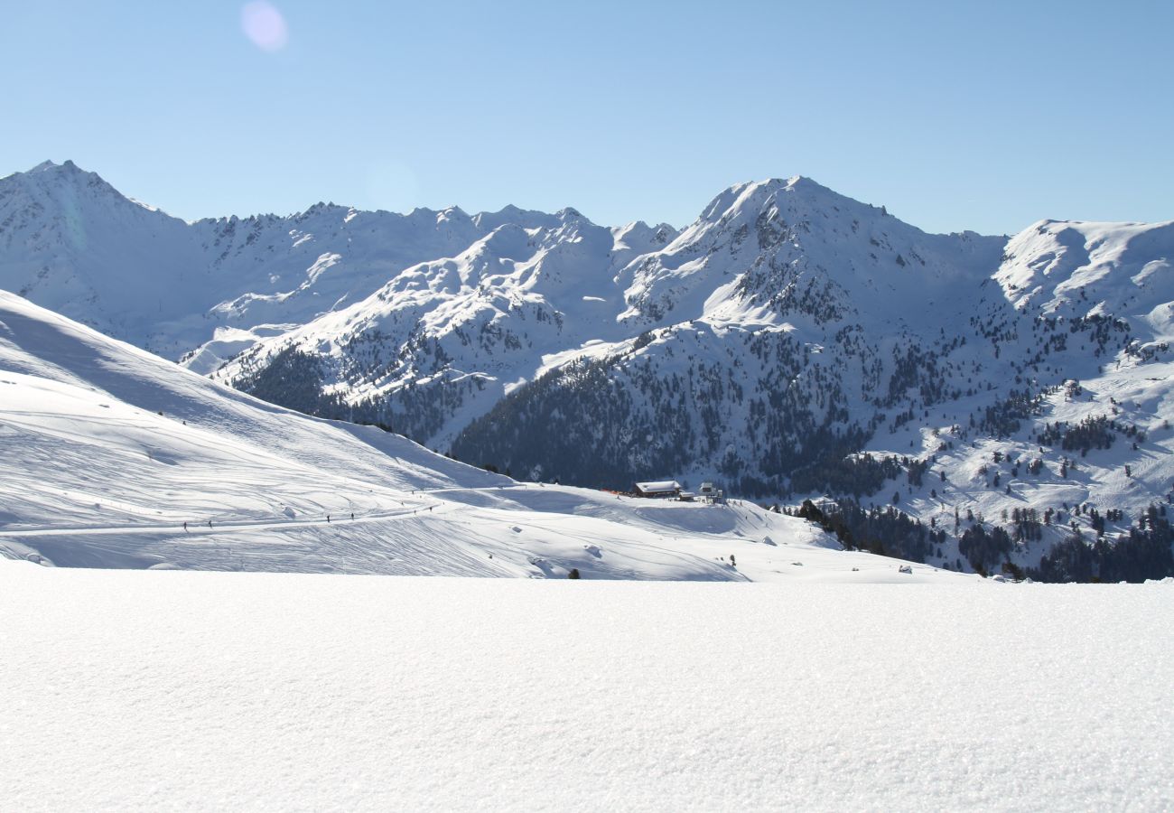 Appartement in Haute-Nendaz - Pracondu 2 407 - OUTDOOR & FUN  charming apartment