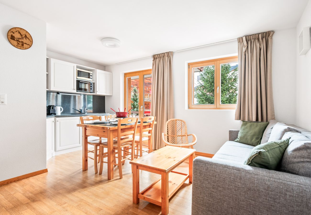 Appartement in Haute-Nendaz - Pracondu 2 103 - OUTDOOR & FUN  apartment 6 pers