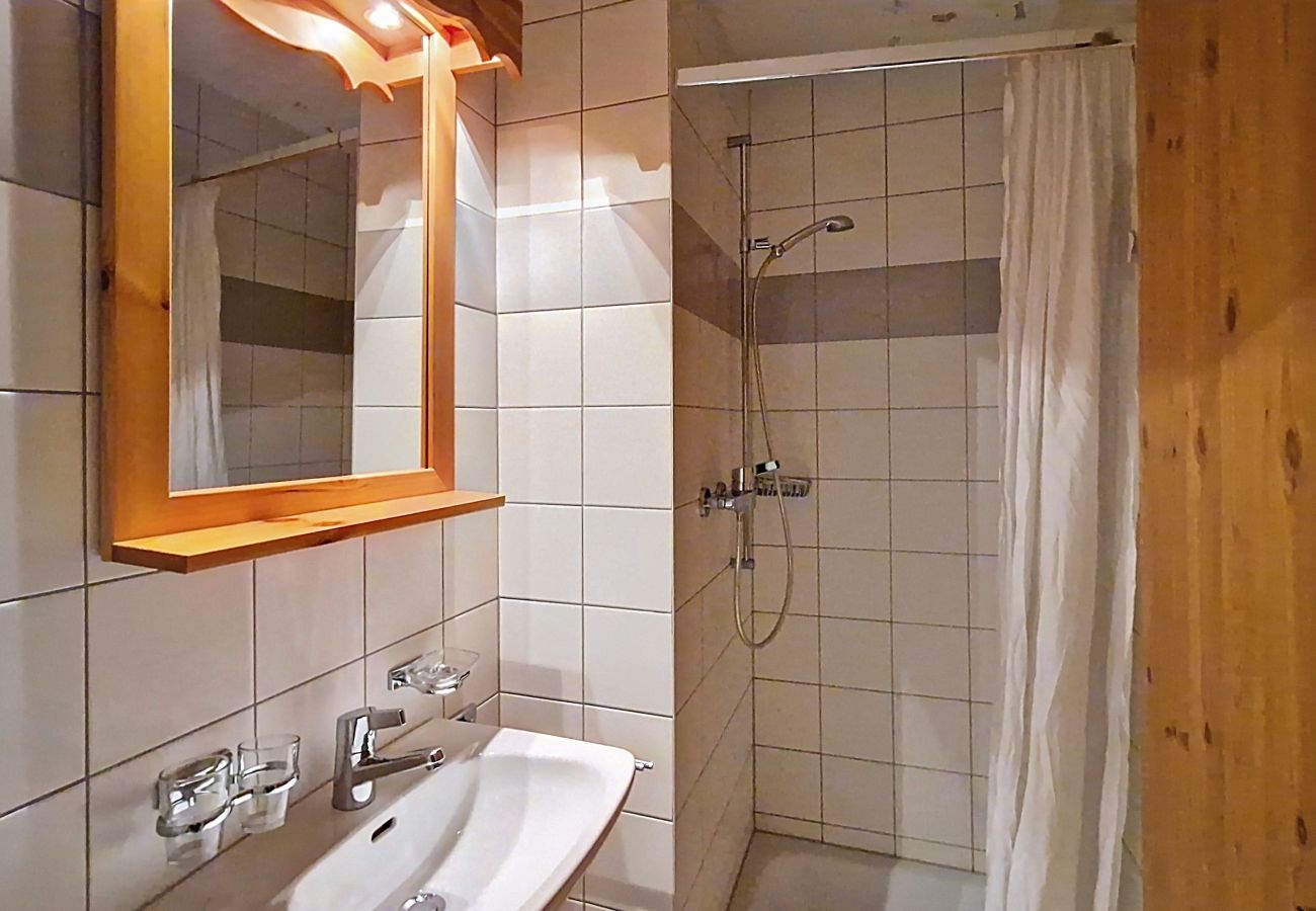 Badkamer Appartement Pracondu 2 303 in Veysonnaz, Zwitserland