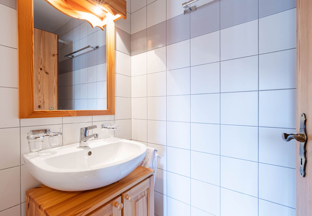 Appartement in Haute-Nendaz - Pracondu 2 403 - OUTDOOR & FUN  charming apartment