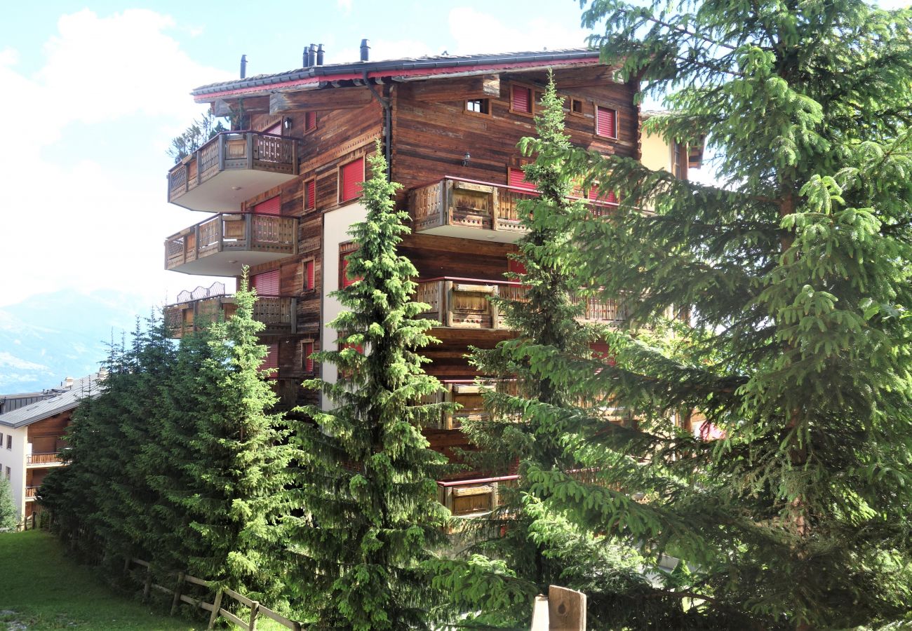 Appartement in Haute-Nendaz - Pracondu 2 005 - OUTDOOR & FUN  apartment 6 pers