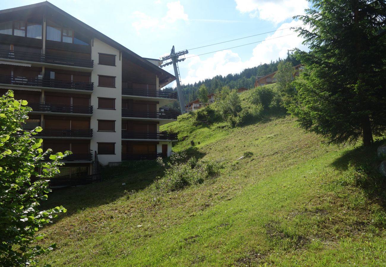 Appartement in Haute-Nendaz - Pracondu 2 005 - OUTDOOR & FUN  apartment 6 pers