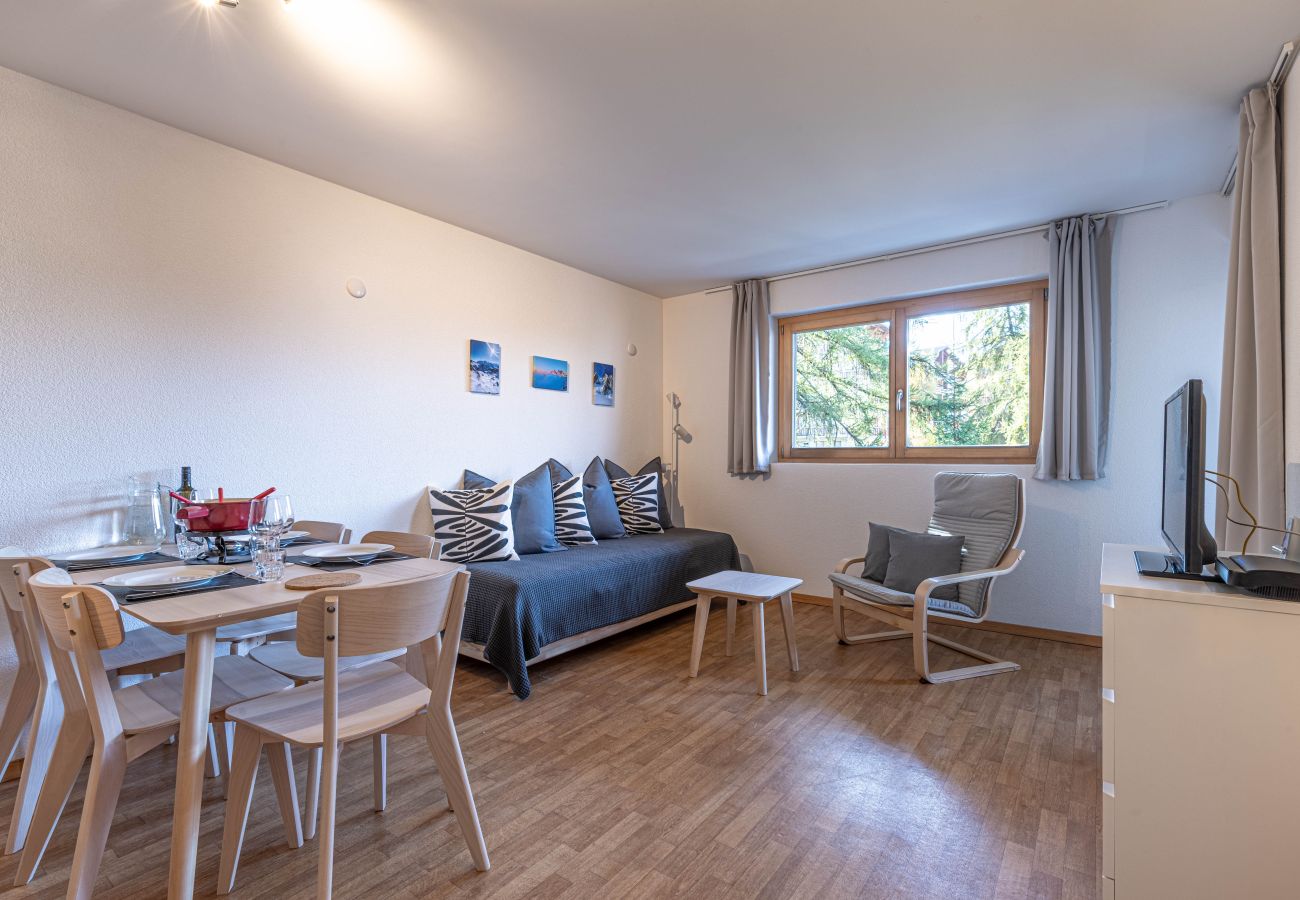 Appartement in Haute-Nendaz - Pracondu 2 304 - OUTDOOR & FUN  apartment 5 pers