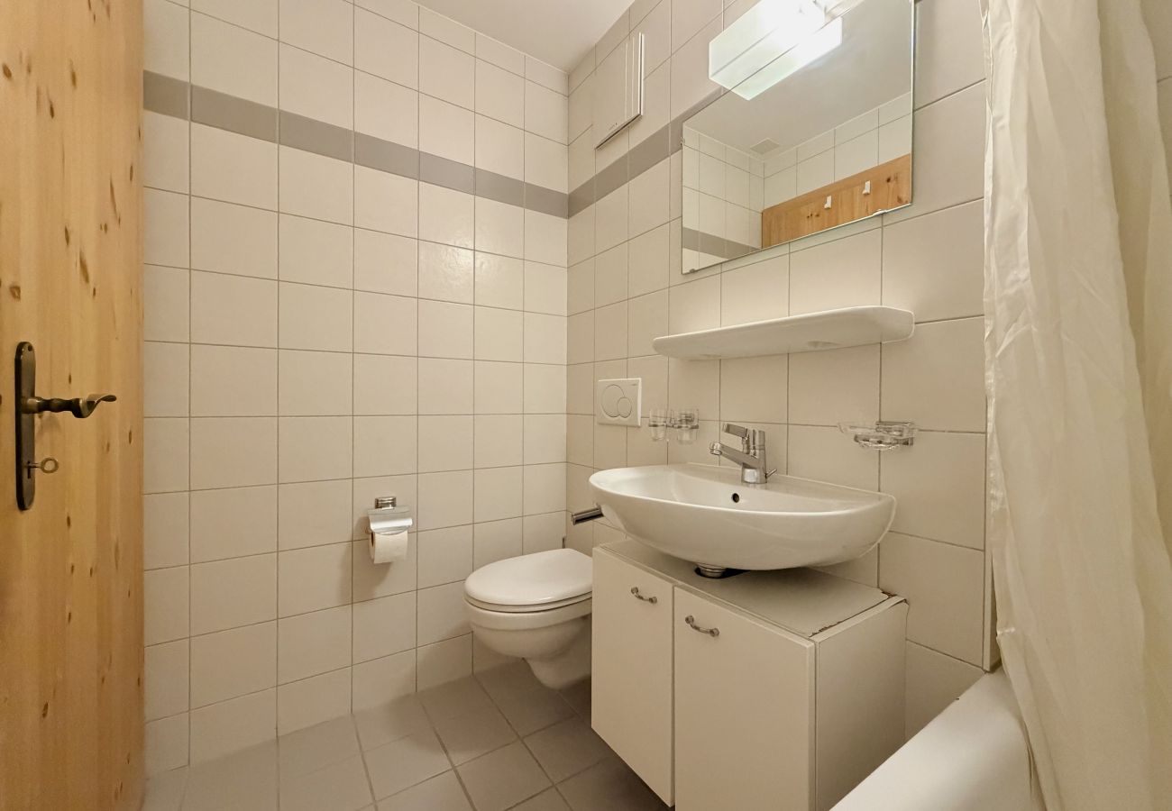 Appartement in Haute-Nendaz - Pracondu 1 107 - OUTDOOR & FUN  charming apartment