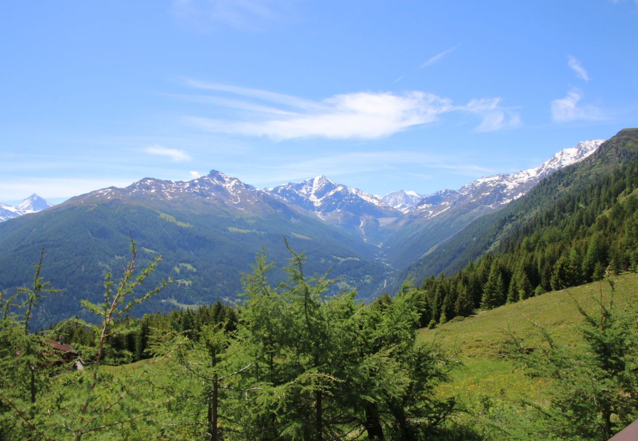 Chalet in Thyon-Les Collons - Paradis Perdu SKI IN & QUIET chalet 14 personnes